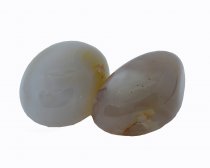 Tumble Stone Cherry Agate 2pcs Tumble Stone Cherry Agate 2pcs